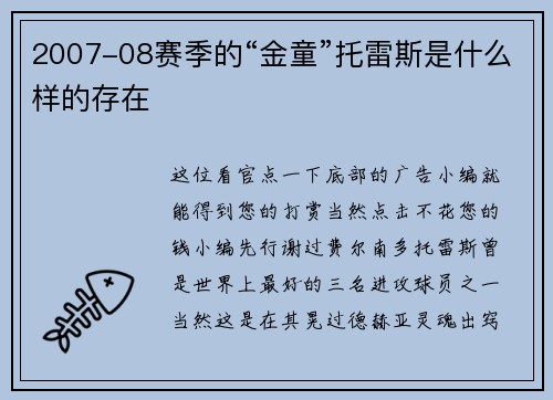 2007-08赛季的“金童”托雷斯是什么样的存在